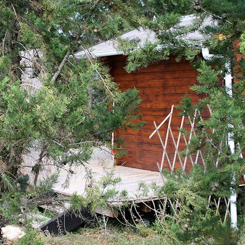 wooden hut in nature